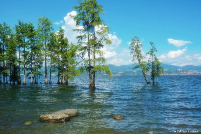 云南6天旅游攻略：云南6天跟团游行程规划？日游攻略分享(图2)