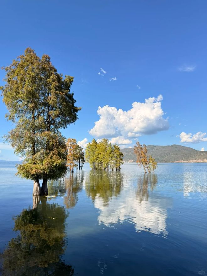 云南八日悠闲游向导规划省心省力花费清晰不踩坑(图3)