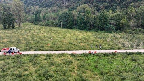 3000 亩金刺梨喜获丰收 全产业链模式为乡村振兴添活力