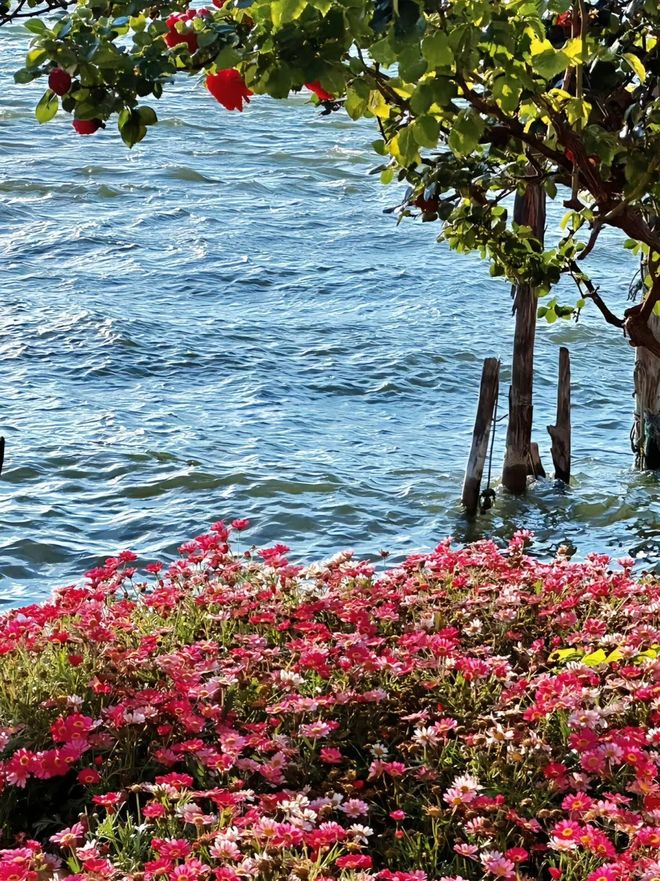 云南亲子游专属规划：七日向导服务懂娃心省爸妈力(图2)