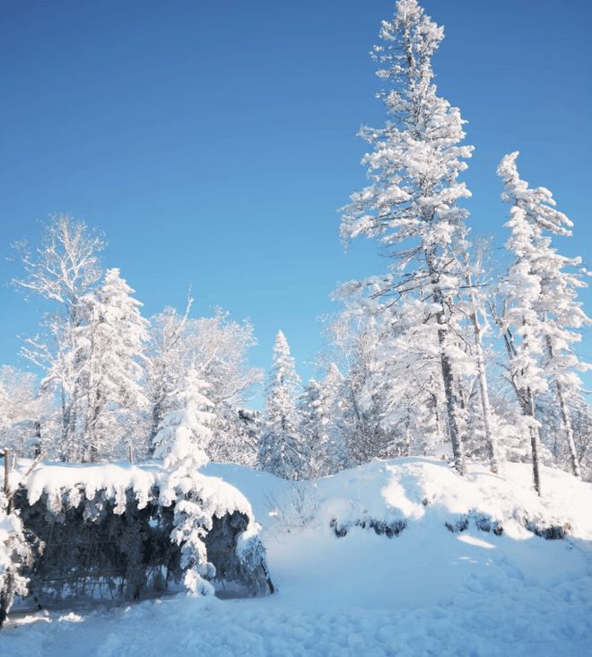 哈尔滨五天四晚行程规划哈尔滨旅游必打卡景区景点+路线+费用(图2)