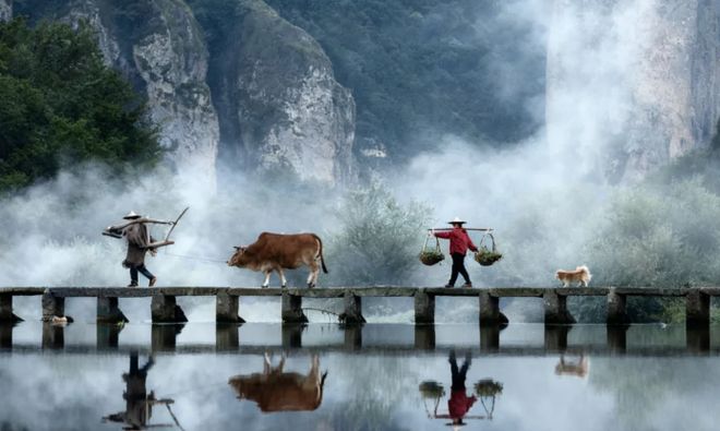 11月 去杭州5天4晚景点路线规划杭州跟团五日游要花多少钱？(图5)