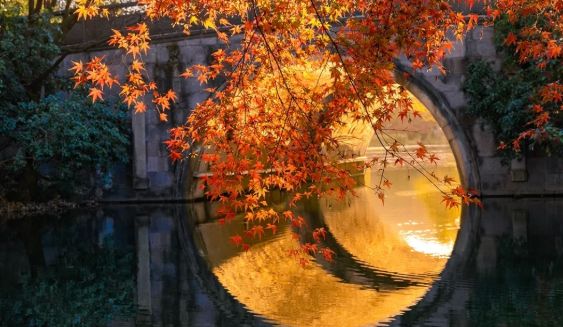 11月 去杭州5天4晚景点路线规划杭州跟团五日游要花多少钱？