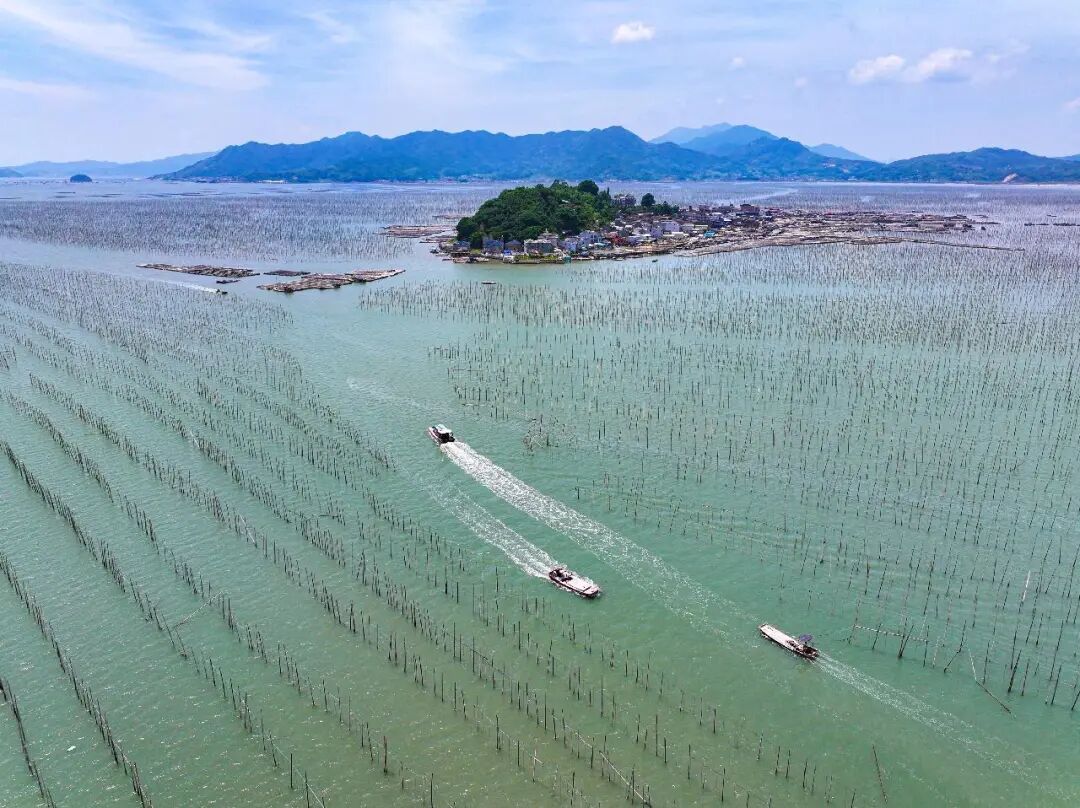 人民日报金轩：践行大食物观的福建实践和经验启示