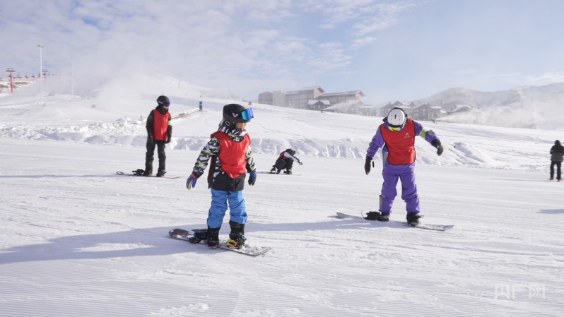 雪中撒欢！新疆“雪假”点燃冬日热经济(图3)