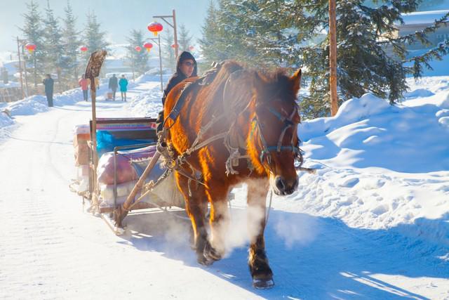 去雪乡自由行玩三天开销雪乡3日亲子游旅游路线规划(图4)