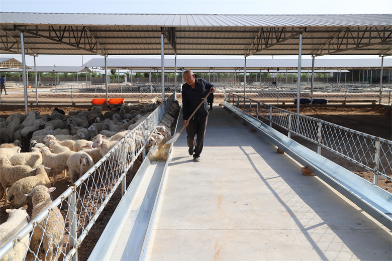 亚马尔的极限挑战：斋月期间在巴萨16：15时段作战能否承受？